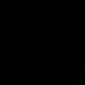 Meet your Posher, Evelyn